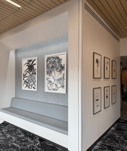 gallery6