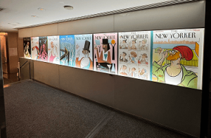 gallery9